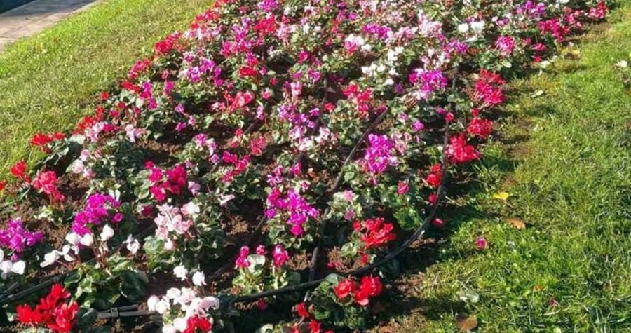 Πιλοτικό πρόγραμμα εθελοντικής φροντίδας δημόσιων χώρων σχεδιάζει ο Δήμος Καρδίτσας