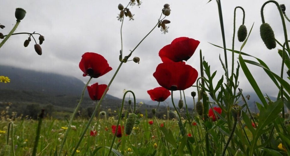 Καιρός: Ψυχρή εισβολή την Πρωτομαγιά δείχνουν όλα τα προγνωστικά δεδομένα
