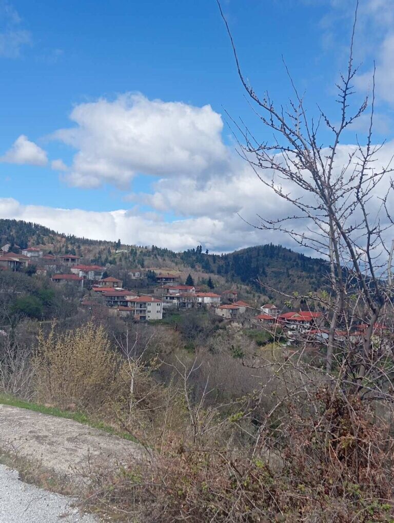 Ανάθεση μελέτης για το δασικό δρόμο Κρανιά – Κουτσοπάπουλου οικισμού Μούχας Τ.Κ. Καστανιάς