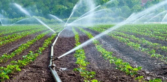 Σήμα κινδύνου για την άρδευση στην Καρδίτσα