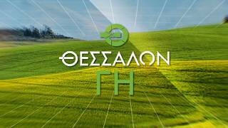 Προβληματισμός πριν τα αλώνια_Ν. Μπλιάτσος-Γ. Ράγκος