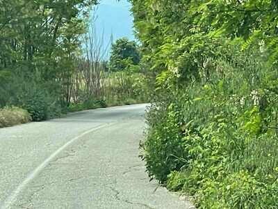 Σερβωτά – Τρίκαλα: Δρόμος-παγίδα με μηδενική ορατότητα – Ζητούν άμεση παρέμβαση από την Περιφέρεια Θεσσαλίας