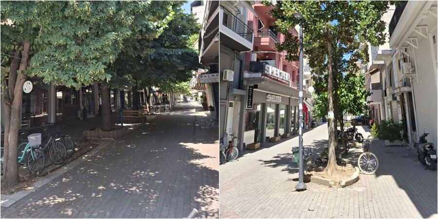 Η προστασία του αστικού πρασίνου μας αφορά όλους. Καταστροφική η απομάκρυνση ώριμων δέντρων από το κέντρο της πόλης