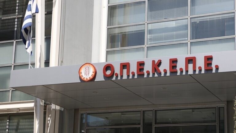 OΠΕΚΕΠΕ: Ποινές φυλάκισης από 5 έως και 26 μήνες με αναστολή σε 13 κατηγορούμενους