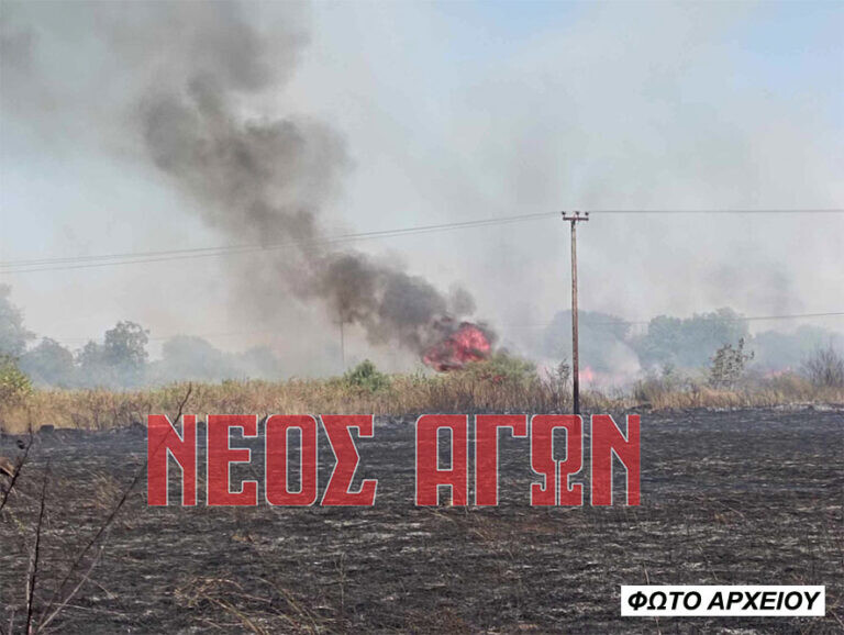 Δύο νέα τσουχτερά πρόστιμα από την Πυροσβεστική σε Αγ. Θεόδωρο και Σοφάδες για καύσεις