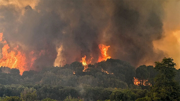 Πυρκαγιές: 365 πρόστιμα και 60 συλλήψεις μέσα σε πέντε μήνες