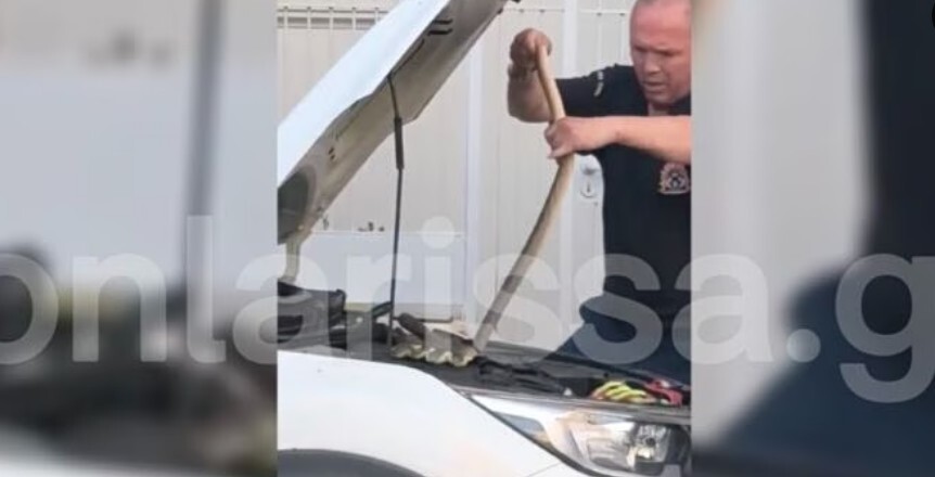 Λάρισα: Πυροσβέστες έβγαλαν φίδι 1,5 μέτρου από μηχανή αυτοκινήτου