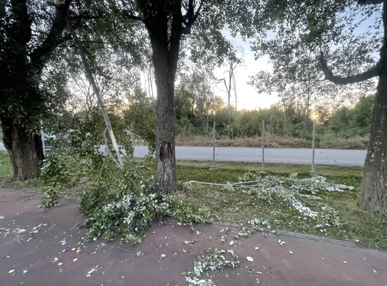 Σπασμένα κλαδιά στο Παλέρμο