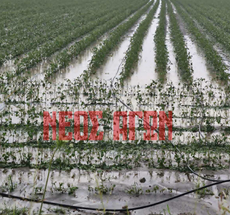 Mπουρίνι με ισχυρούς ανέμους και χαλαζόπτωση προκάλεσε προβλήματα και ζημιές (ΦΩΤΟ)