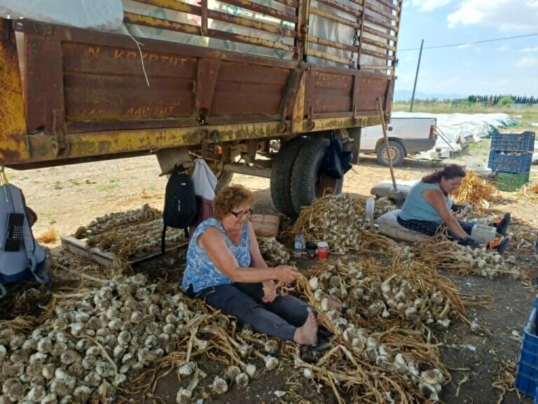 Μύρισε σκόρδο από τον Πλατύκαμπο μέχρι την... Ιαπωνία 