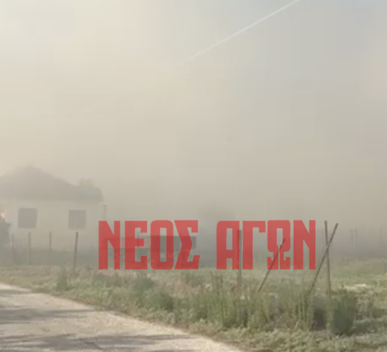Μεγάλη κινητοποίηση της Πυροσβεστικής για φωτιά στη Μαραθέα (ΦΩΤΟ & ΒΙΝΤΕΟ)