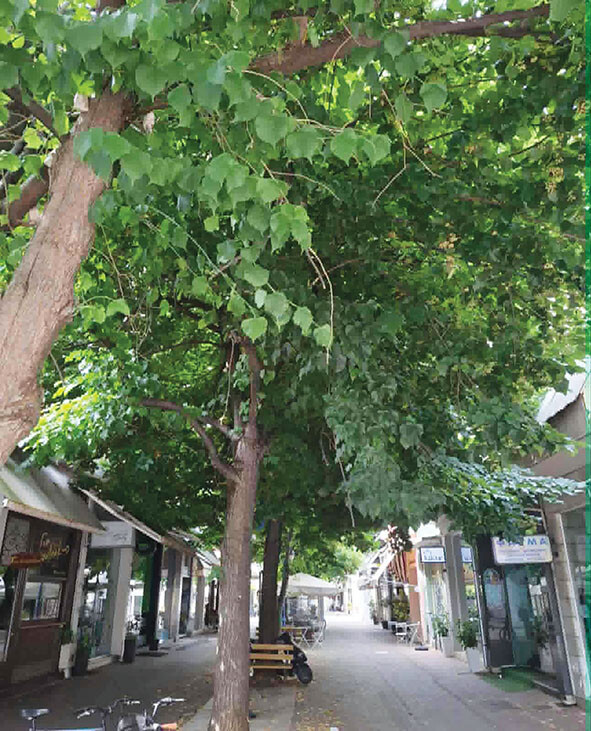 Όχι στην καταστροφή των πεζοδρόμων