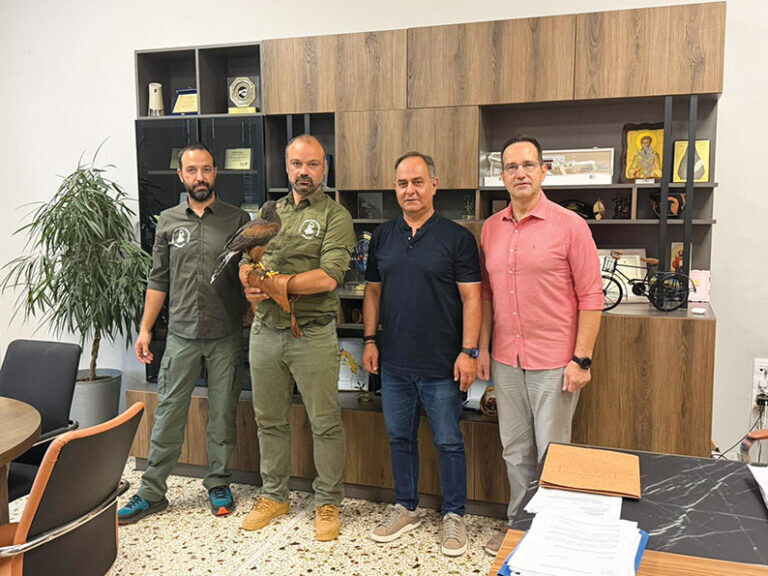Λίγες ημέρες προσαρμογής για τα γεράκια...