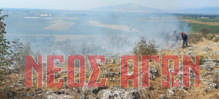 Υπό έλεγχο τέθηκε φωτιά στη Μεταμορφώση του Δήμου Παλαμά (ΦΩΤΟ)