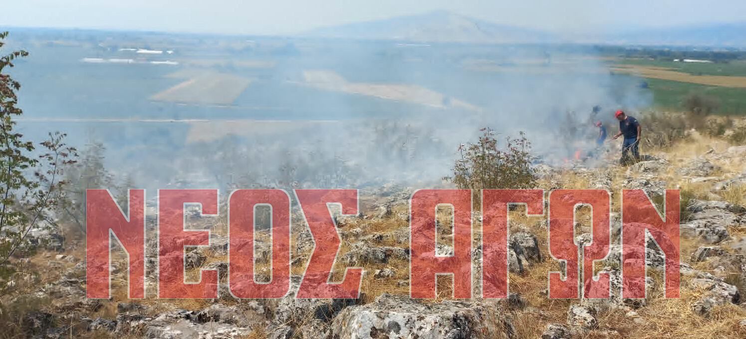 Υπό έλεγχο τέθηκε φωτιά στη Μεταμόρφωση του Δήμου Παλαμά