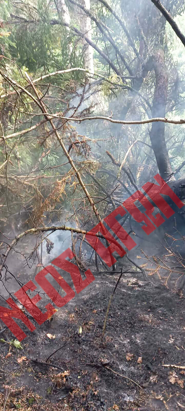 Ελέγχθηκε φωτιά στο Ελληνόκαστρο του Μουζακίου