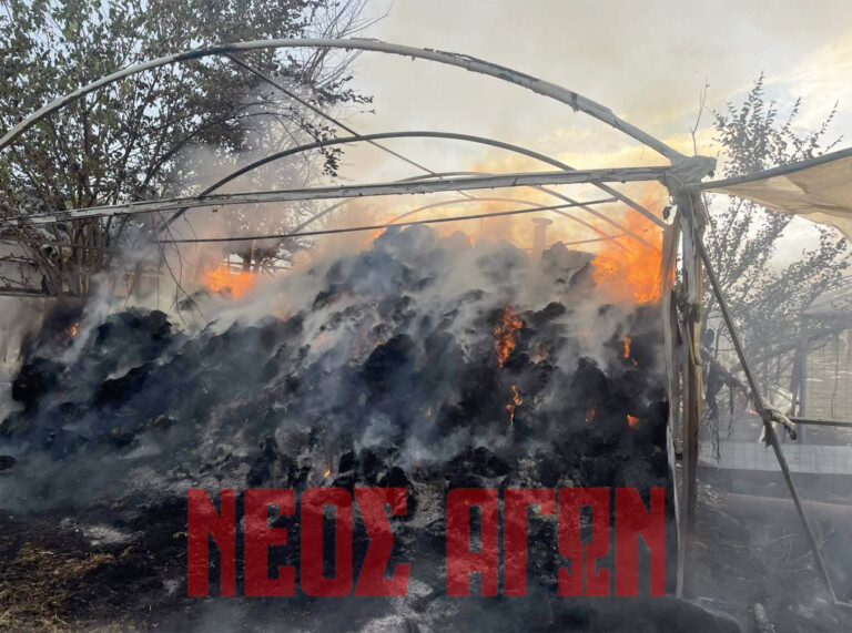 Στις φλόγες κτηνοτροφική μονάδα στο Προάστιο- έσπευσε η Πυροσβεστική (ΦΩΤΟ)