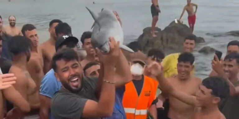 Θέουτα: Μετανάστες κατηγορούνται ότι σκότωσαν ένα μωρό δελφίνι και το σήκωσαν«σαν τρόπαιο»-Εντονες αντιδράσεις