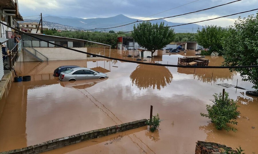Παραπομπή τεσσάρων για τον Ντανιέλ…