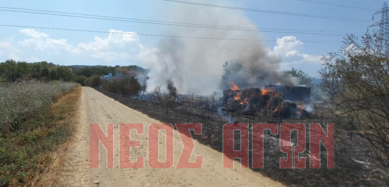 Δύο διοικητικά πρόστιμα για  πυρκαγιές στο Δήμο Μουζακίου