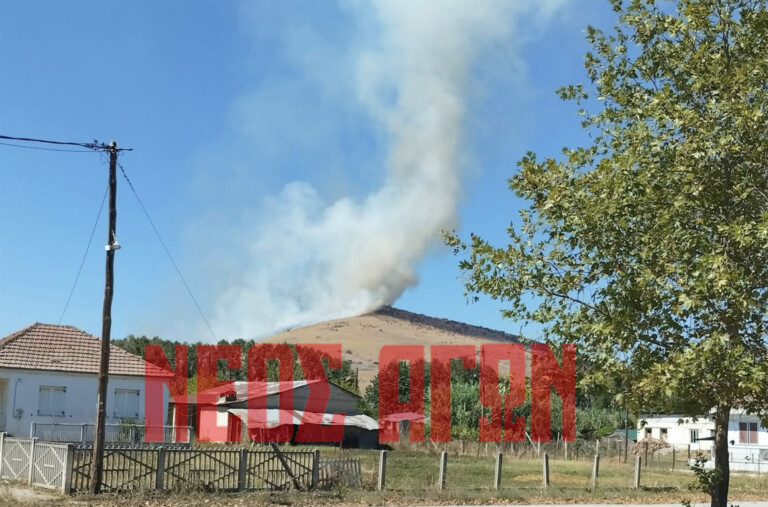Φωτιά στο Τιτάνιο όρος στη Μεταμόρφωση του Δήμου Παλαμά (ΦΩΤΟ)