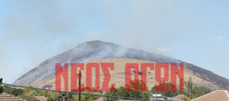 Ελέγχθηκε η φωτιά στη Μεταμόρφωση, ολονύκτια επιχείρηση από τις πυροσβεστικές δυνάμεις (ΦΩΤΟ & ΒΙΝΤΕΟ)