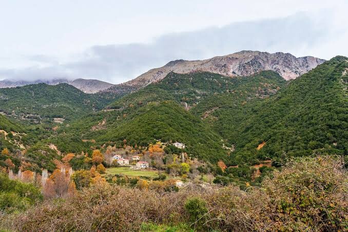 «Πράσινο «φως» από την Περιφερειακή Επιτροπή για το έργο αποκατάστασης του οδικού δικτύου Αργιθέας - Πετρωτού, προϋπολογισμού 300.000 ευρώ