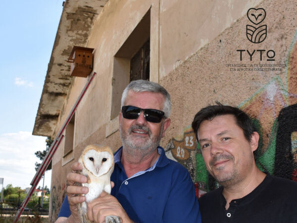 Σοφάδες: Στο 100% η χρήση των φωλιών της Τυτώ!