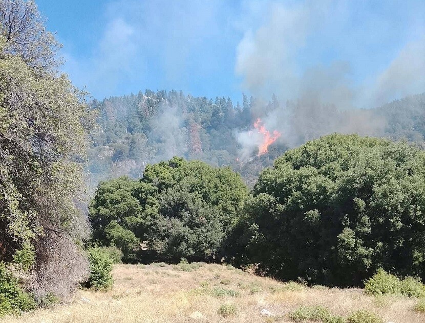Φωτιά σε δάσος στο Καταφύλλι Αργιθέας, επιχειρεί και ελικόπτερο (ΦΩΤΟ)