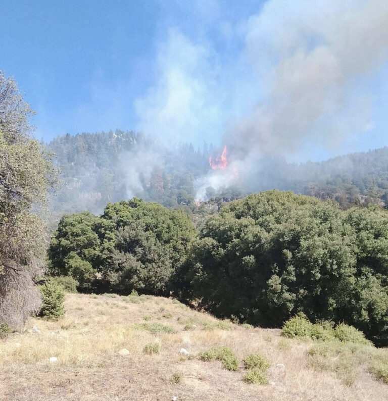 Βελτιωμένη η εικόνα στην αντιμετώπιση της πυρκαγιάς στο Καταφύλλι