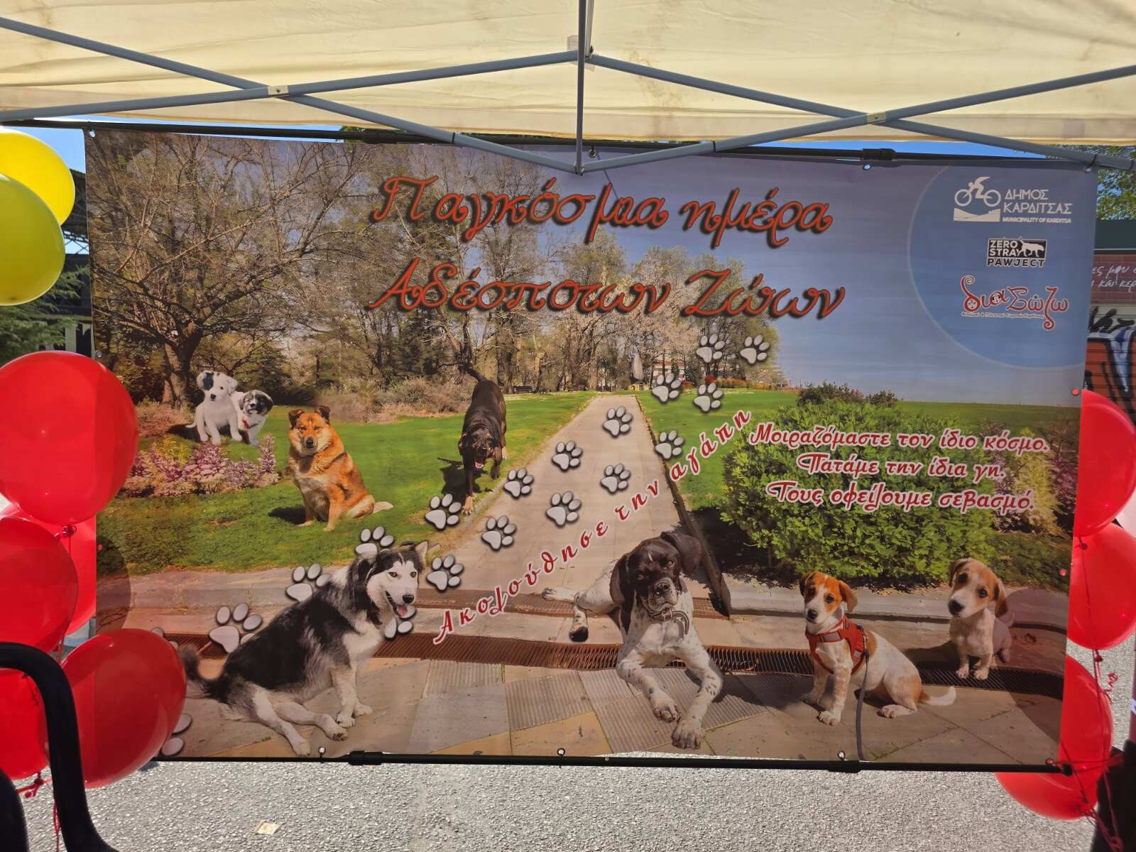 Δράση για την Παγκόσμια ημέρα ζώων στο αθλητικό πάρκο