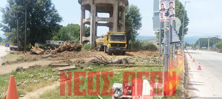 Πρόταση δωρεάς μελέτης «Τεχνική Διαχειριστική Έκθεση άλσους Υδατόπυργου» Καρδίτσας