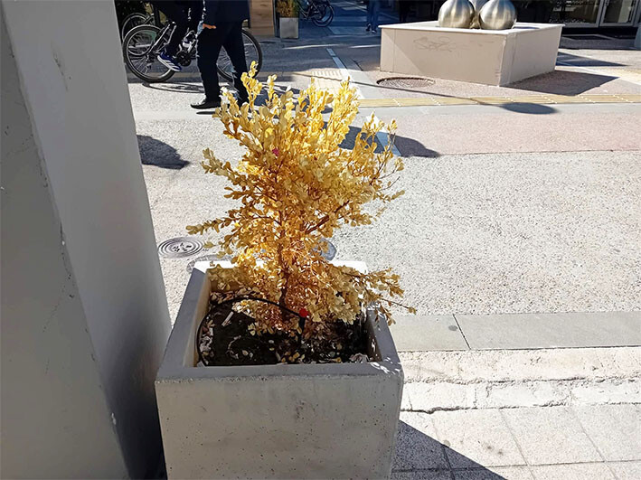 ‘Ο,τι αρχίζει ωραίο…