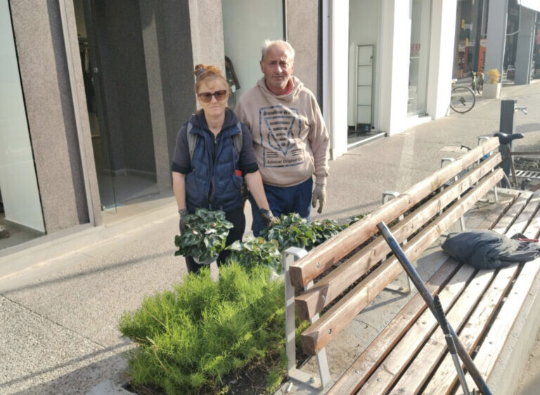 Φθινοπωρινές φυτεύσεις