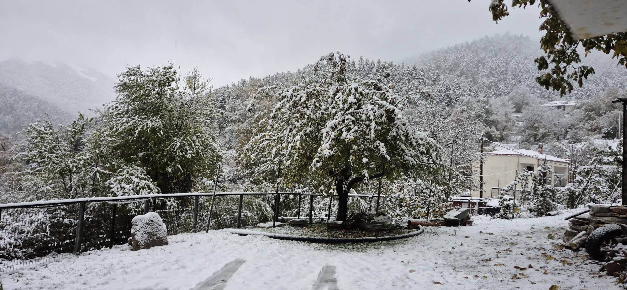 Στα λευκά τα Θεσσαλικά Άγραφα – Χιόνια σε Ρεντίνα και Ζαχαράκη, 20 εκατοστά στην Αργιθέα (ΦΩTO)